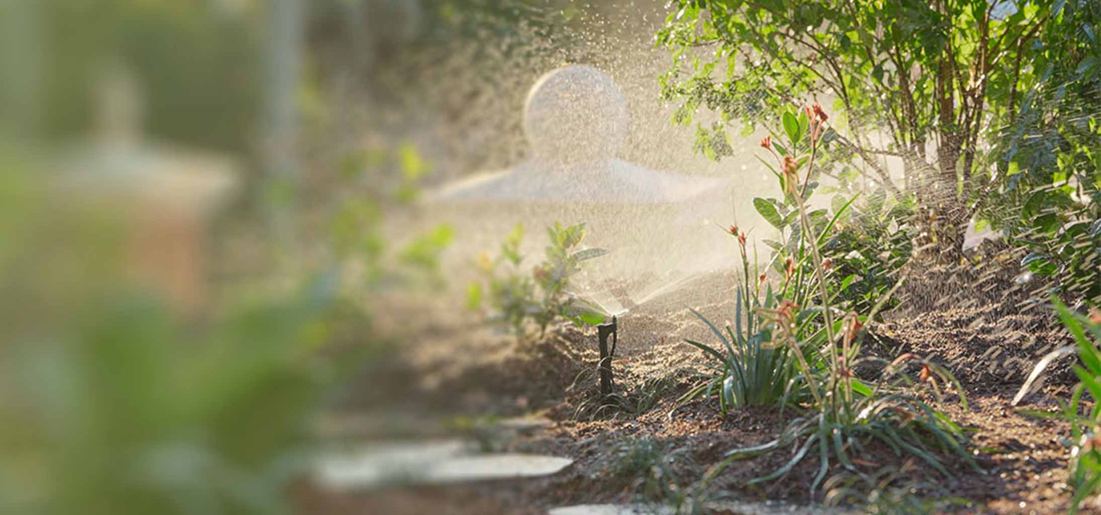 Everflow Irrigationw Service