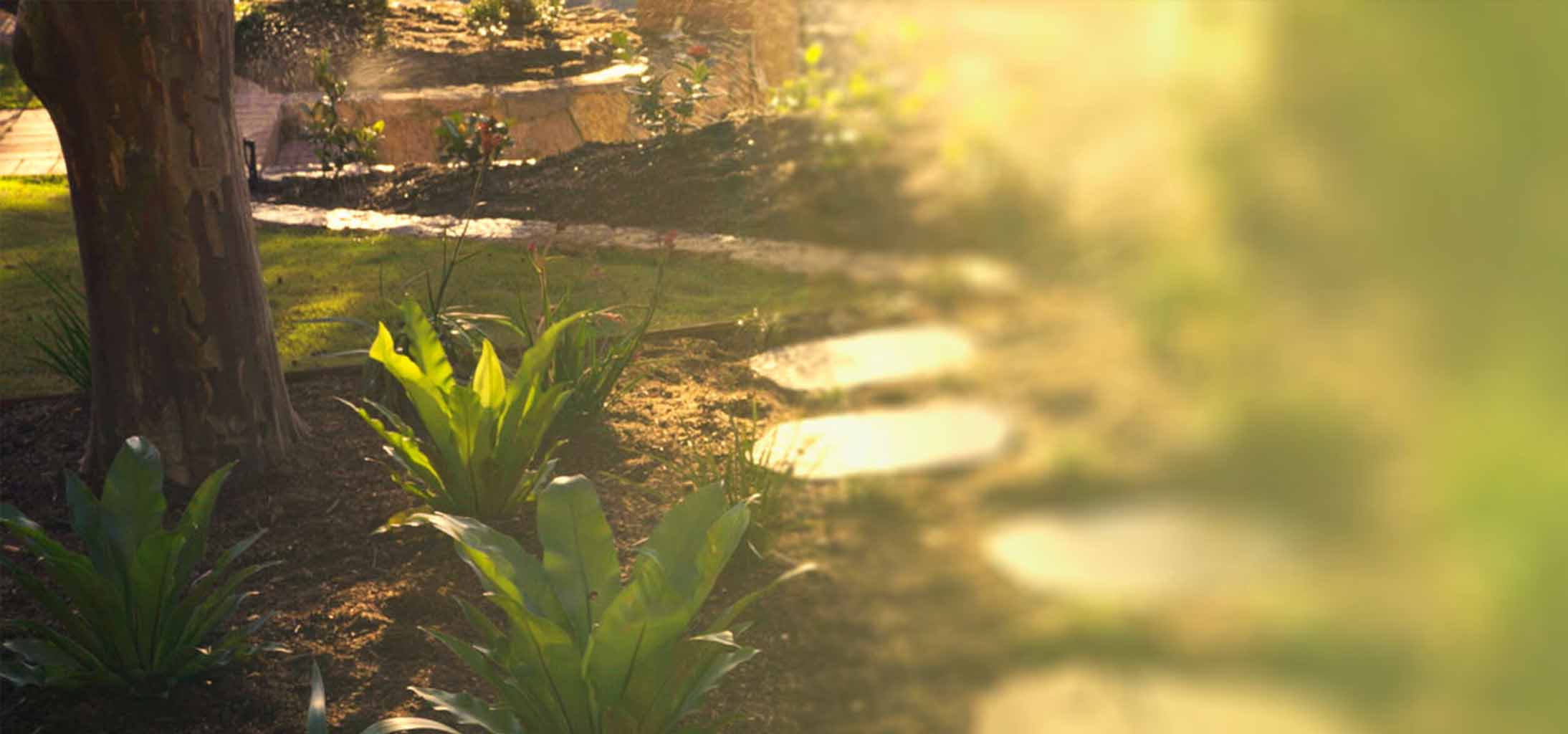 Everflow Irrigationw About