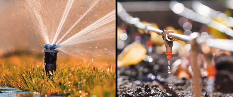 Drip Irrigation System vs Sprinkler System: What Works Best in Brisbane?