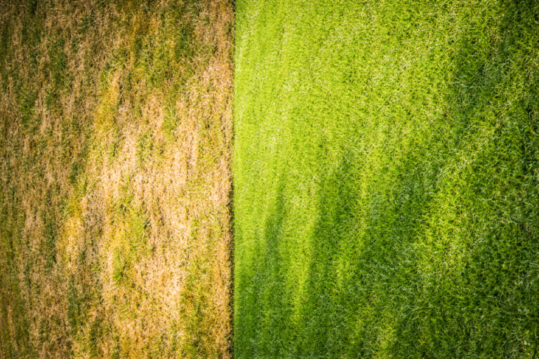 Irrigation System Brisbane: How to Choose the Right Garden & Lawn Irrigation System
