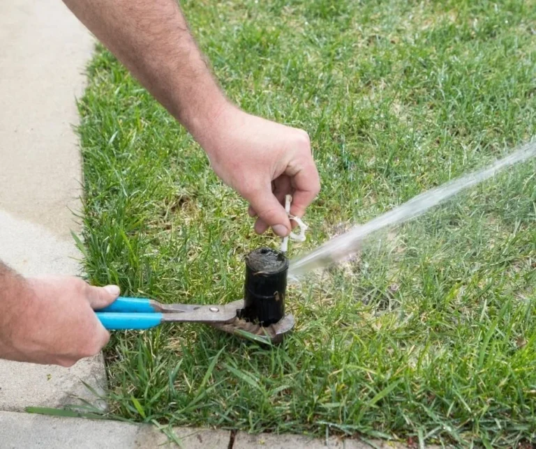 Irrigation Maintenance: Brisbane Checklist + Service Schedule